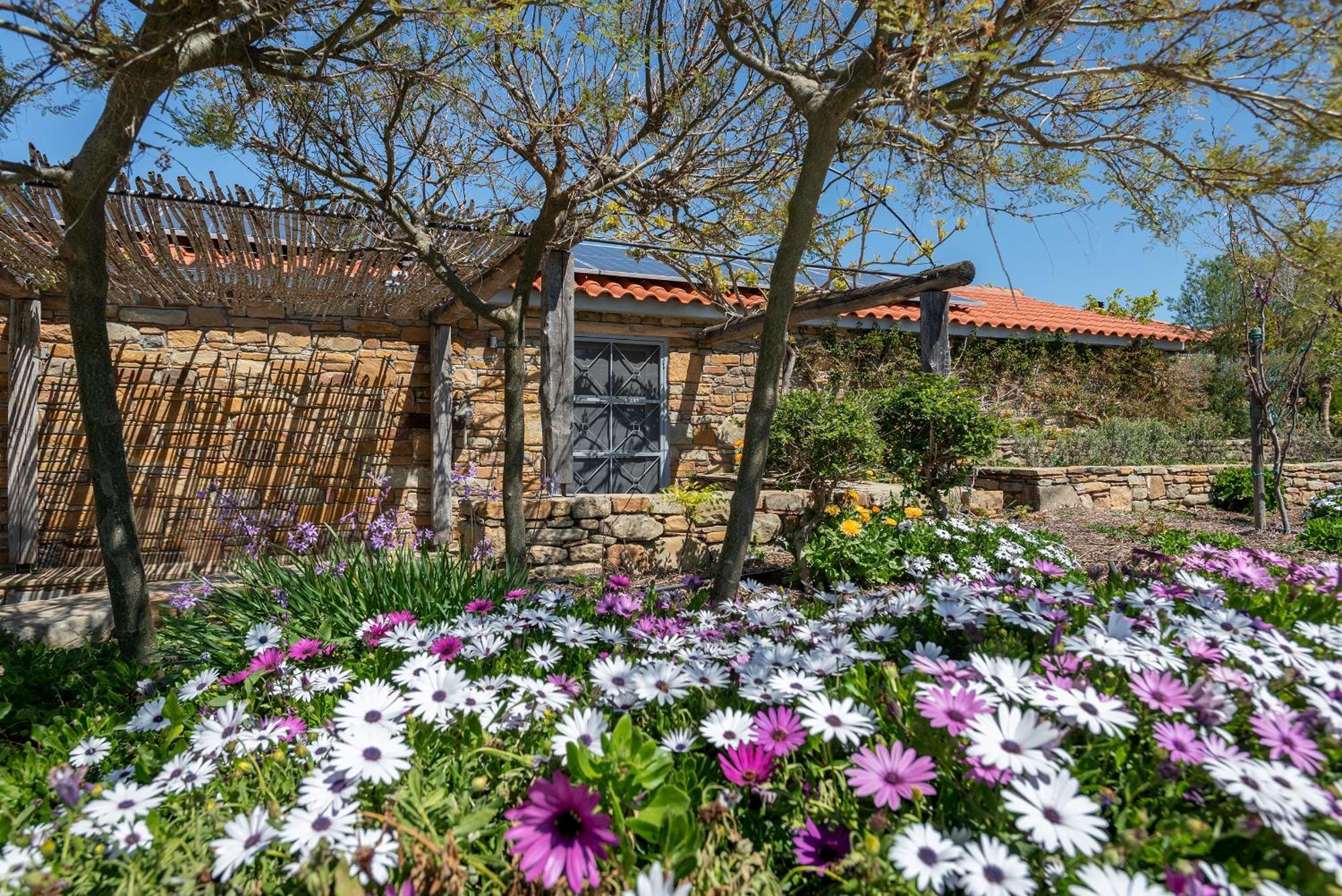 ATARAXIA at Saravari Beach-Almond House Agios Alexandros Exteriör bild